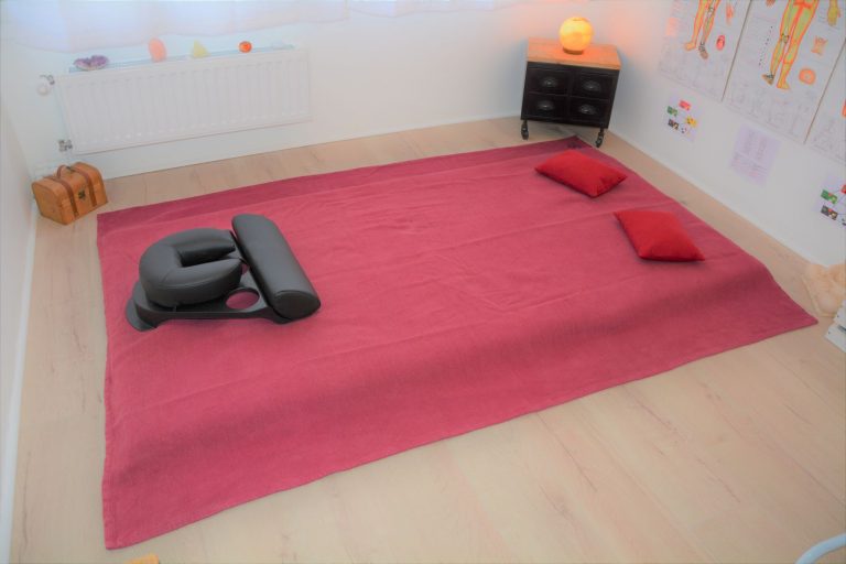 20210216 Salle Shiatsu St Genis Laval 5 ter L 768x512