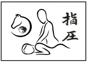 273110384 3174862299503774 1070087407488265393 n 300x213