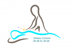 Copie de logo modifiable.psd 1 300x188