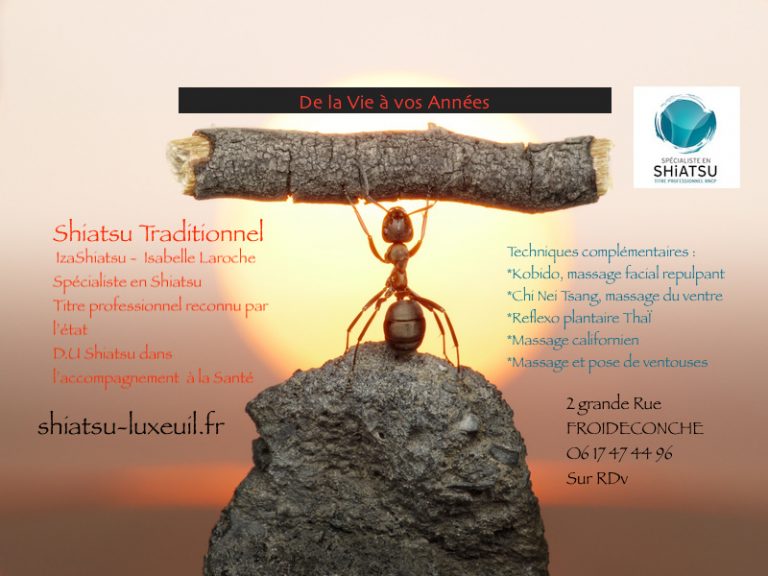 FOURMI version 2020 768x576