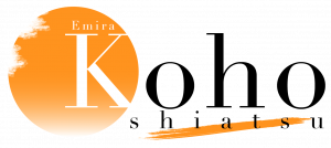 Logo shiatsu 1 1 300x134