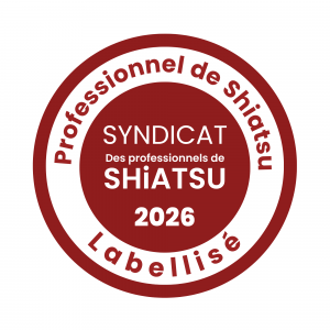 PROFESSIONNEL LOGO 2026 300x300