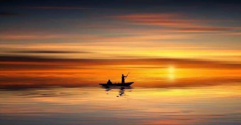 Photo trame site 2 768x397