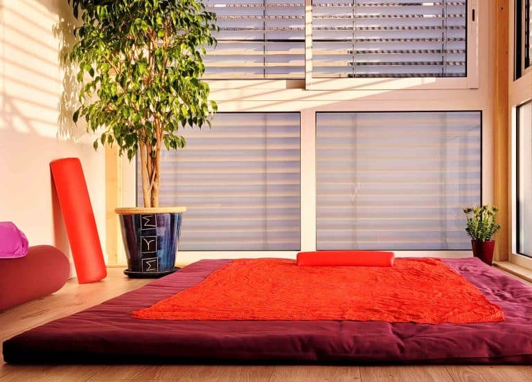 Photo veranda pour site 1 768x552