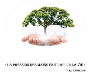 arbre mains 300x248