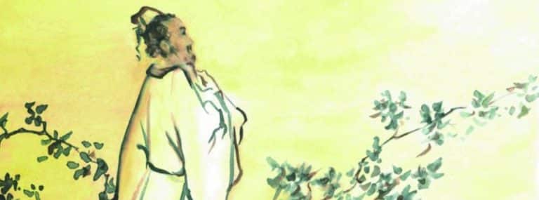 cover photo 101 768x285