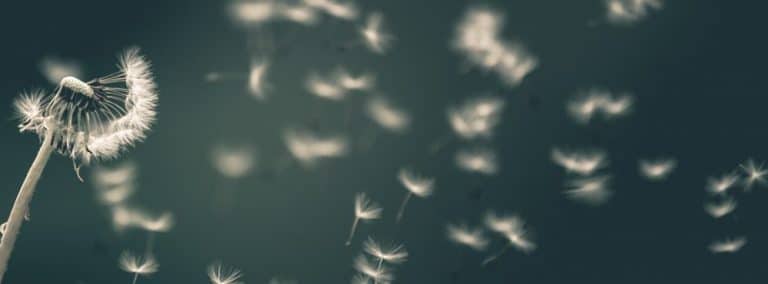 cover photo 115 768x284