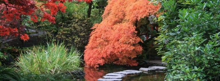 cover photo 142 768x284