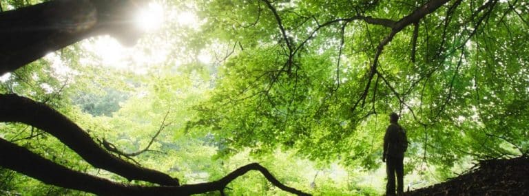 cover photo 164 768x285