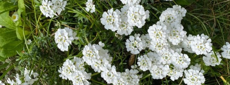 cover photo 170 768x284