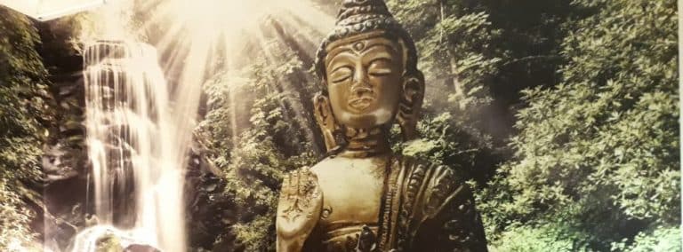 cover photo 172 768x284