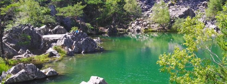 cover photo 176 768x284