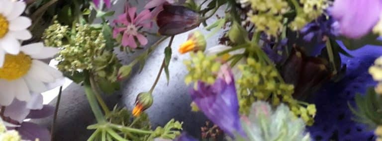 cover photo 178 768x284