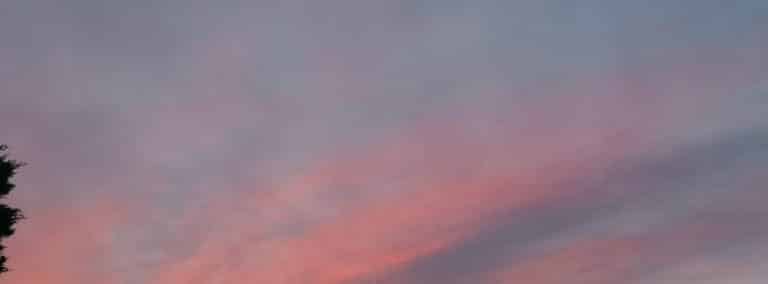 cover photo 18 768x284