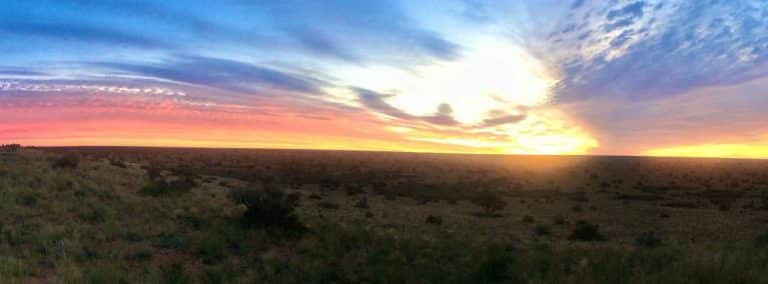 cover photo 19 768x284