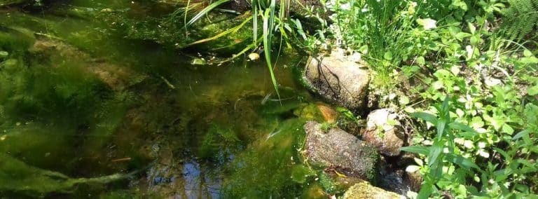 cover photo 223 768x284