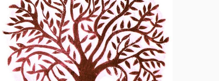 cover photo 244 768x284