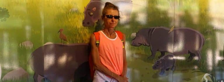 cover photo 256 768x284