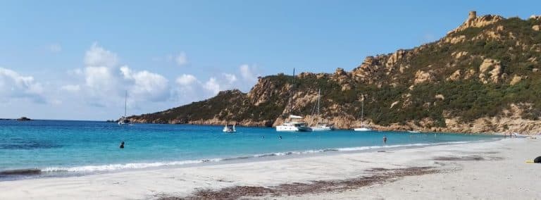 cover photo 26 768x284