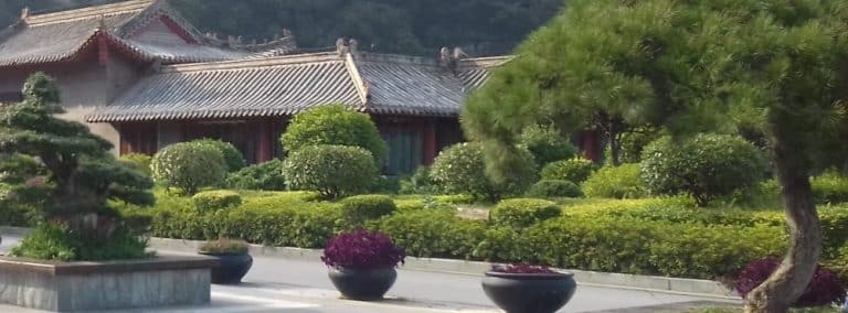 cover photo 260 768x284