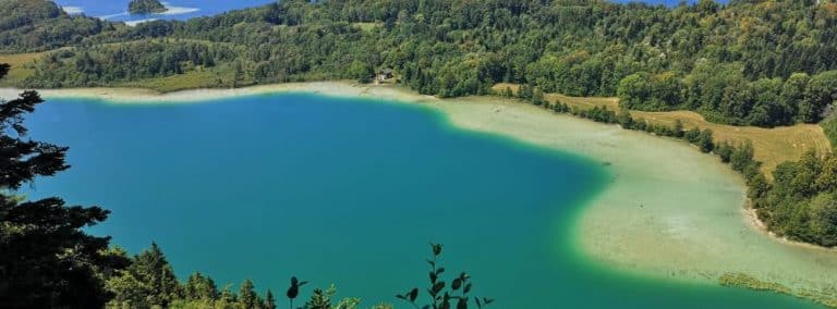 cover photo 271 768x284