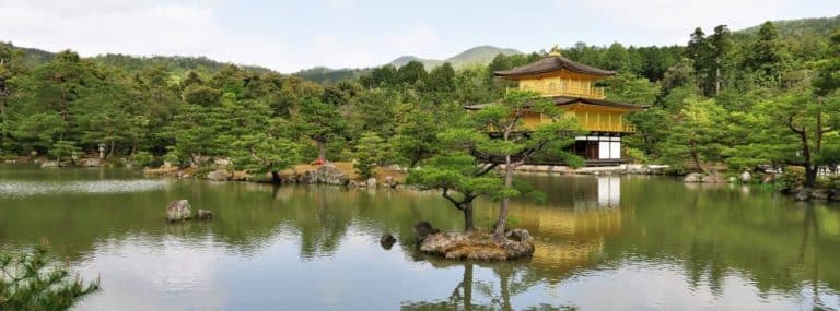 cover photo 298 768x285