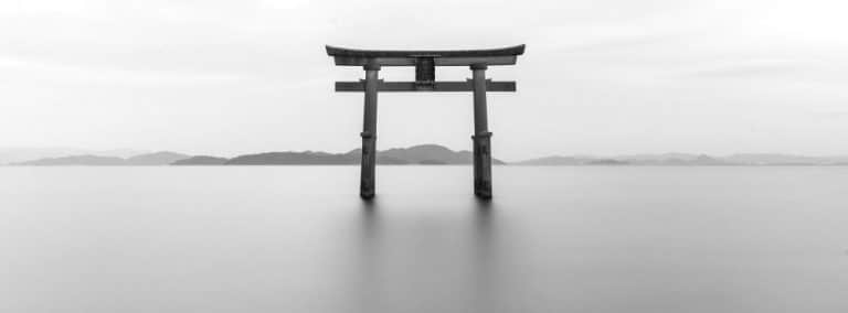 cover photo 31 768x284