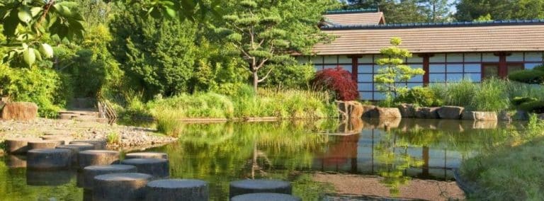 cover photo 33 768x284