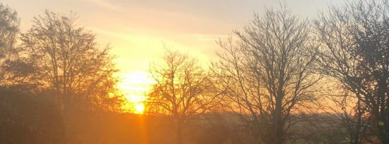 cover photo 35 768x284