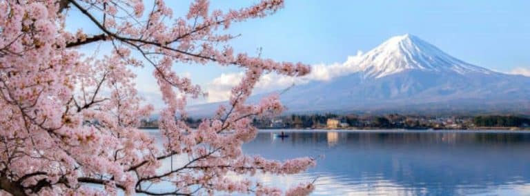 cover photo 55 768x284