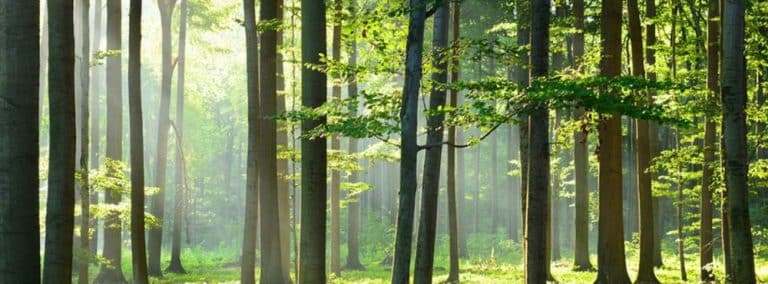 cover photo 72 768x284