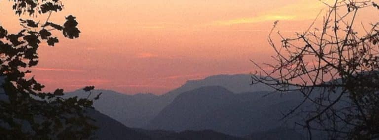 cover photo 8 768x284