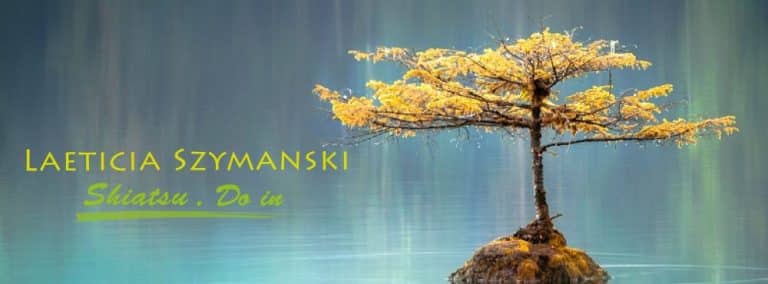 cover photo 93 768x284