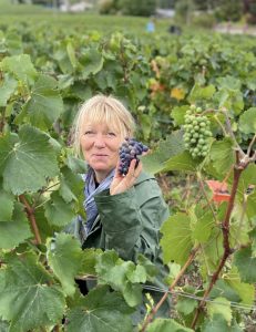 e2240ca7 a97c 4749 b687 1fe131651263 1 231x300