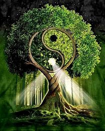 image arbre de vie yin et yang