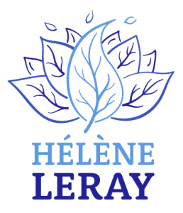 logo blanc 4 258x300