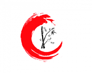 logo carte visite 300x240