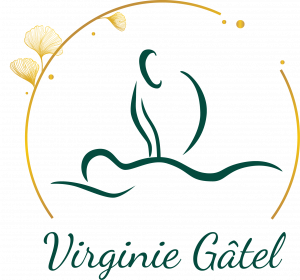 logo virginie HD 300x280