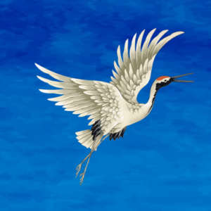 profile photo 22 300x300