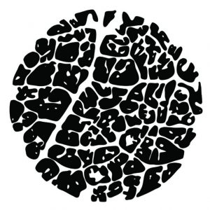 profile photo 63 300x300