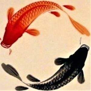 profile photo 92 300x300